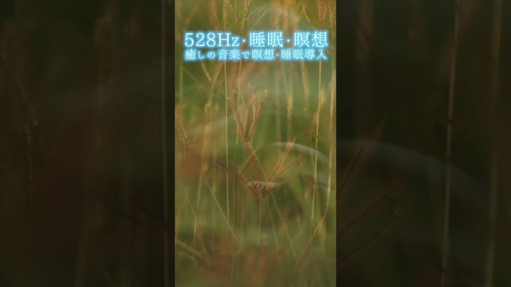 【528Hz・睡眠・瞑想】癒しの音楽で瞑想・睡眠導入 #shorts #528hz #528ヘルツ #ソルフェジオ周波数 #睡眠 #瞑想 #meditationmusic #relaxingmusic
