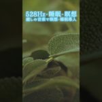 【528Hz・睡眠・瞑想】癒しの音楽で瞑想・睡眠導入 #shorts #528hz #528ヘルツ #ソルフェジオ周波数 #睡眠 #瞑想 #meditationmusic #relaxingmusic
