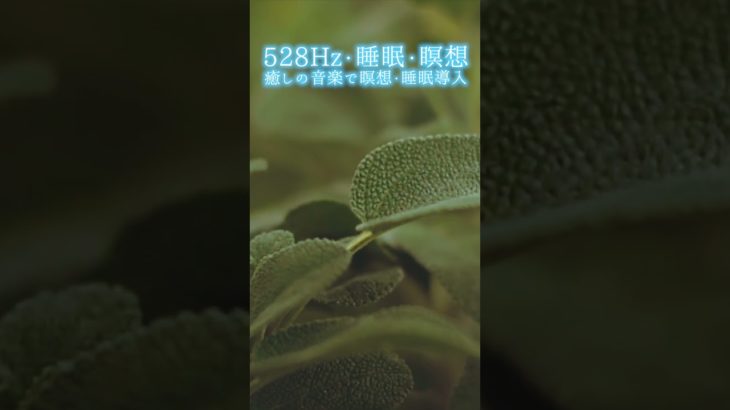 【528Hz・睡眠・瞑想】癒しの音楽で瞑想・睡眠導入 #shorts #528hz #528ヘルツ #ソルフェジオ周波数 #睡眠 #瞑想 #meditationmusic #relaxingmusic