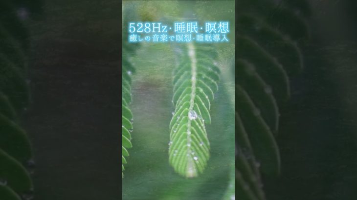 【528Hz・睡眠・瞑想】癒しの音楽で瞑想・睡眠導入 #shorts #528hz #528ヘルツ #ソルフェジオ周波数 #睡眠 #瞑想 #meditationmusic #relaxingmusic