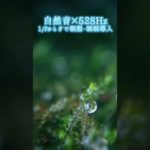 【超熟睡】自然音×癒しの528Hz音楽で瞑想・睡眠導入【528Hz】#528Hz #528ヘルツ #ソルフェジオ周波数 #睡眠 #瞑想 #shorts #short #meditation