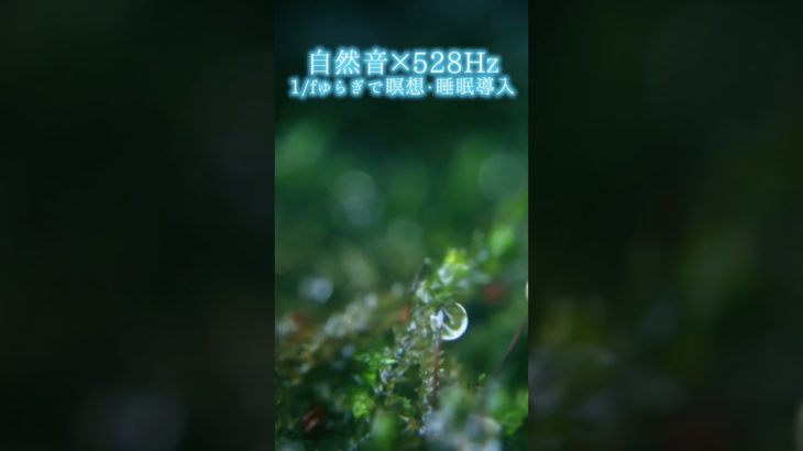 【超熟睡】自然音×癒しの528Hz音楽で瞑想・睡眠導入【528Hz】#528Hz #528ヘルツ #ソルフェジオ周波数 #睡眠 #瞑想 #shorts #short #meditation