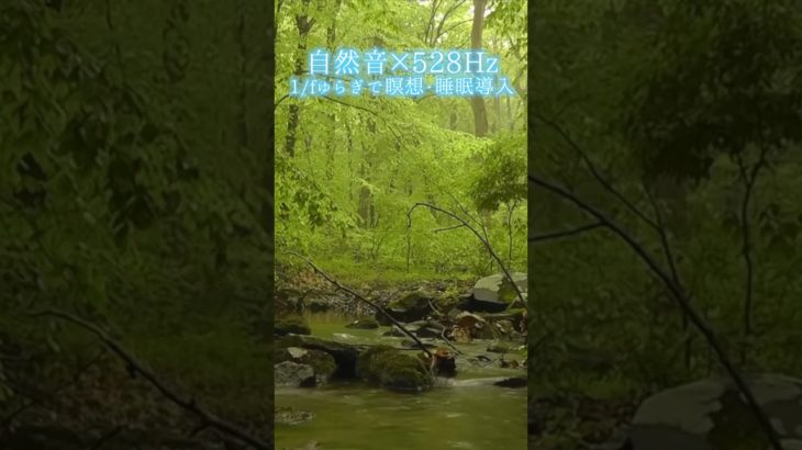 【超熟睡】自然音×癒しの528Hz音楽で瞑想・睡眠導入【528Hz】#528Hz #528ヘルツ #ソルフェジオ周波数 #睡眠 #瞑想 #shorts #short #meditation