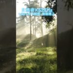 【超熟睡】自然音×癒しの528Hz音楽で瞑想・睡眠導入【528Hz】#528Hz #528ヘルツ #ソルフェジオ周波数 #睡眠 #瞑想 #shorts #short #meditation