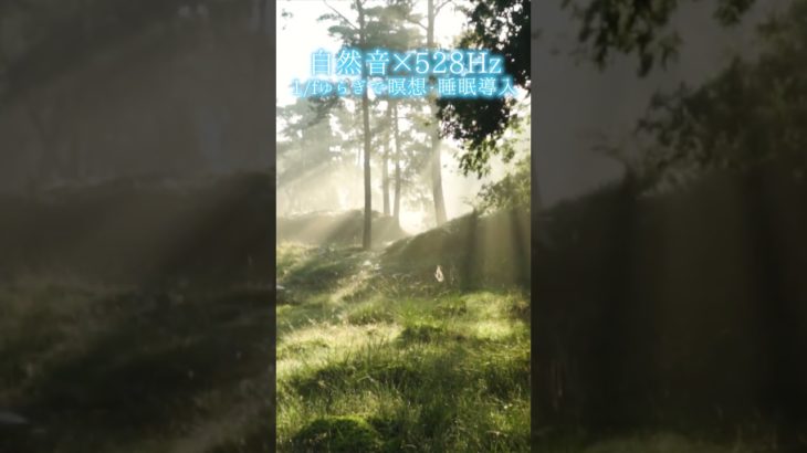 【超熟睡】自然音×癒しの528Hz音楽で瞑想・睡眠導入【528Hz】#528Hz #528ヘルツ #ソルフェジオ周波数 #睡眠 #瞑想 #shorts #short #meditation
