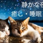 【癒し・睡眠・瞑想BGM】ゆっくり過ごす雨の夜、リラックス睡眠