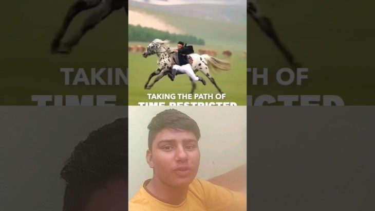 Galloping towards well-being | Dr Pal 😱 #horse #horselover #horseriding #animals #love #animal