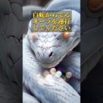 プロフリンクからLINE追加で、3大特典をプレゼント⛩✨  #スピリチュアル #金運 #開運