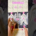 NABIのおまもりタロット🍊 #タロット #スピリチュアル