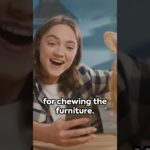 Pet Technology Trends: Gadgets to Enhance Your Pet’s Wellbeing #shorts #pet