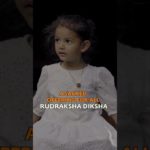 Rudraksha – A Sacred Seed of Wellbeing for All