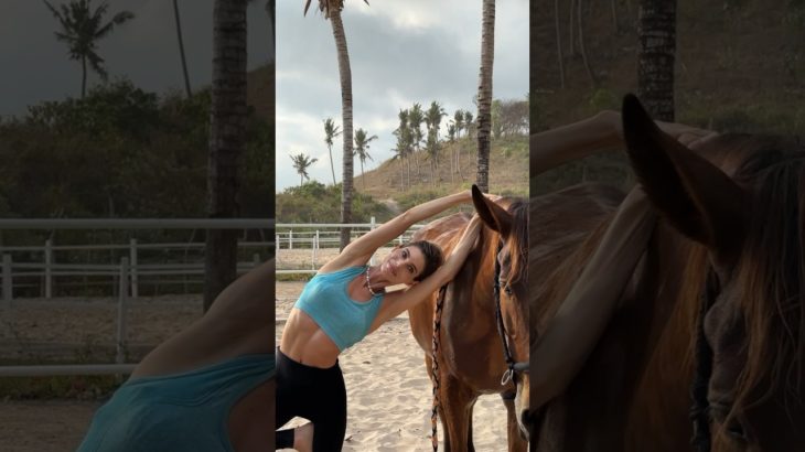 grounded and full of gratitude 🙏🏼 #equestrian #horse #wellness #wellbeing #harmony