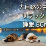 【癒し　睡眠　瞑想　リラックス】壮大な自然の中、リラックスしながら睡眠へ