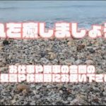 疲れを癒しましょう。　お仕事や家事の合間の、お昼寝や休憩時にお使いください。  #睡眠  #お昼寝  #癒し