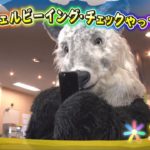 ウェルビーイング・チェックやってみた！三太編