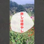 許しは癒やし #スピリチュアル  #潜在意識  #気功  #遠隔ヒーリング