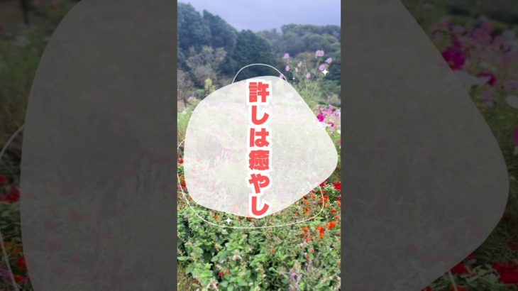 許しは癒やし #スピリチュアル  #潜在意識  #気功  #遠隔ヒーリング