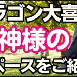 【スピリチュアルを日常に浸透させる】神聖な龍神様コーナーをご紹介🐉日本人が来て大暴れした若いドラゴン