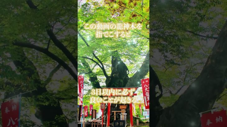 願い事をコメント欄へ　#スピリチュアル #パワースポット #遠隔参拝 #幸運 #運勢アップ