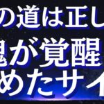急激に覚醒している人が受け取るサイン～正しい道だと現れるサインとは？～目覚め始めた時に起きること3つ～【スピリチュアル】