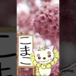 3/10のメッセージ♡ #こまこのまいにちメッセージ #スピリチュアルメッセージ #スピリチュアル好きな人と繋がりたい