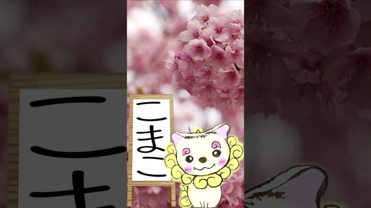 3/10のメッセージ♡ #こまこのまいにちメッセージ #スピリチュアルメッセージ #スピリチュアル好きな人と繋がりたい