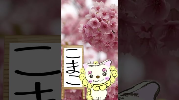 3/11のメッセージ♡ #こまこのまいにちメッセージ #スピリチュアルメッセージ #スピリチュアル好きな人と繋がりたい