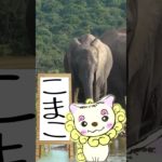 3/22のメッセージ♡ #こまこのまいにちメッセージ #スピリチュアルメッセージ #スピリチュアル好きな人と繋がりたい