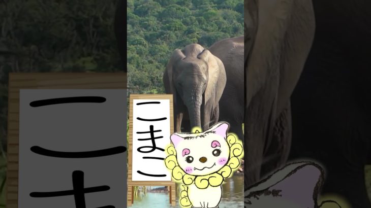 3/23のメッセージ♡ #こまこのまいにちメッセージ #スピリチュアルメッセージ #スピリチュアル好きな人と繋がりたい