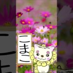 3/3のメッセージ♡ #こまこのまいにちメッセージ #スピリチュアルメッセージ #スピリチュアル好きな人と繋がりたい