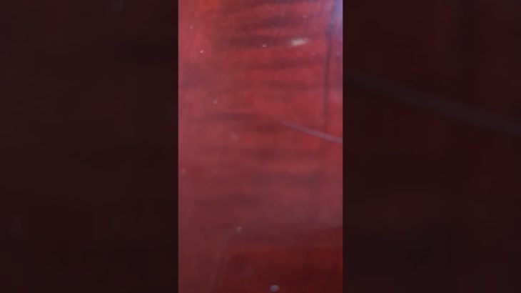 整える音です。金運アップ、開運、スピリチュアル。というより、440Hzの基準音。インチキ臭いスピリチュアル動画へのアンチテーゼ。