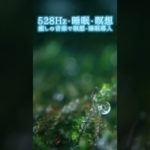 【528Hz・睡眠・瞑想】癒しの音楽で瞑想・睡眠導入 #shorts #528hz #528ヘルツ #ソルフェジオ周波数 #睡眠 #瞑想 #meditationmusic #relaxingmusic
