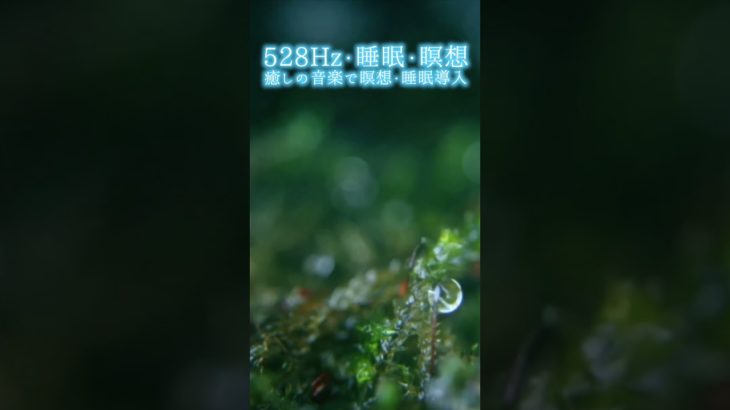 【528Hz・睡眠・瞑想】癒しの音楽で瞑想・睡眠導入 #shorts #528hz #528ヘルツ #ソルフェジオ周波数 #睡眠 #瞑想 #meditationmusic #relaxingmusic