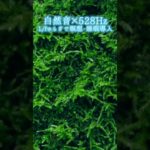 【超熟睡】自然音×癒しの528Hz音楽で瞑想・睡眠導入【528Hz】#528Hz #528ヘルツ #ソルフェジオ周波数 #睡眠 #瞑想 #shorts #short #meditation