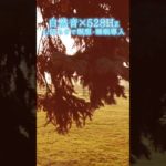 【超熟睡】自然音×癒しの528Hz音楽で瞑想・睡眠導入【528Hz】#528Hz #528ヘルツ #ソルフェジオ周波数 #睡眠 #瞑想 #shorts #short #meditation