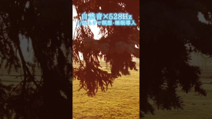 【超熟睡】自然音×癒しの528Hz音楽で瞑想・睡眠導入【528Hz】#528Hz #528ヘルツ #ソルフェジオ周波数 #睡眠 #瞑想 #shorts #short #meditation