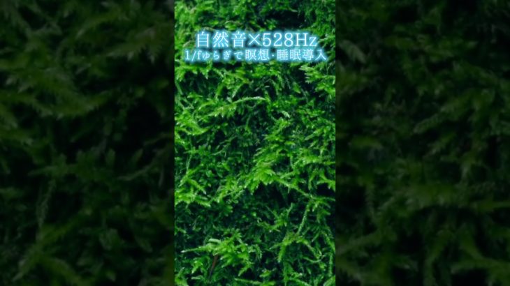【超熟睡】自然音×癒しの528Hz音楽で瞑想・睡眠導入【528Hz】#528Hz #528ヘルツ #ソルフェジオ周波数 #睡眠 #瞑想 #shorts #short #meditation