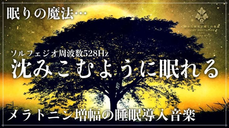 【癒しの波動】ソルフェジオ周波数528Hzに調整した睡眠導入音楽を聴きながら心身、DNAを修復していく眠りへ…メラトニンを大量生成し深い寝落ちに導く熟睡動画