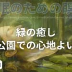 緑の癒し：自然公園での心地よい瞑想　　【睡眠】【60分】【BGM】【瞑想】【NO VOICE】