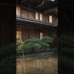 【穏やかな眠りへ導く癒しの音風景6】Japanese Rain Meditation – Healing rain seen from a japanese outdoor Ⅲ