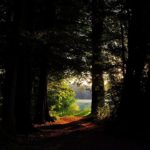 【瞑想・癒し】ナレーション入り睡眠用BGM『瞑想 : 光と暗闇の旅』