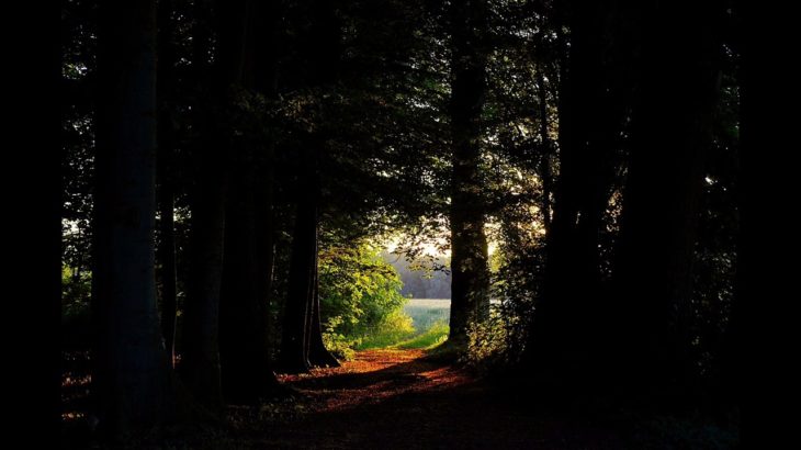 【瞑想・癒し】ナレーション入り睡眠用BGM『瞑想 : 光と暗闇の旅』