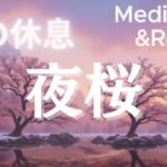 【夜桜】魂の休息 | 春の訪れを感じる癒しの瞑想音楽 | 広告なしの心地よい眠りへ誘う | ストレス浄化＆リラックス | 睡眠用BGM