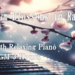 雨に滴る梅と癒しのピアノ音楽 – 瞑想・作業・勉強用BGM・3時間