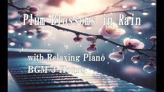 雨に滴る梅と癒しのピアノ音楽 – 瞑想・作業・勉強用BGM・3時間