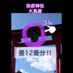 BIG鳥居‼️⛩ 歩いてみた😆弥彦神社#shorts #スピリチュアル #神社 #鳥居 #新潟