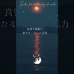 毎日をリセット、夜の瞑想で新たな始まりを。　眠りネコむぎの瞑想 (Good Sleep with Meditation) #shorts