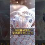 プロフリンクからLINE追加で、3大特典をプレゼント⛩✨  #スピリチュアル #金運 #開運