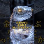 プロフリンクからLINE追加で、3大特典をプレゼント⛩✨  #スピリチュアル #金運 #開運