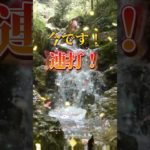 プロフリンクからLINE追加で、3大特典をプレゼント⛩✨  #スピリチュアル #金運 #開運